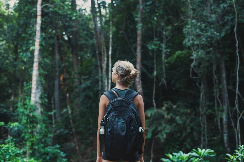 Young Backpack Traveler